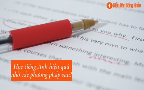 5 tuyệt chiêu giúp tự học tiếng Anh tại nhà cực hiệu quả